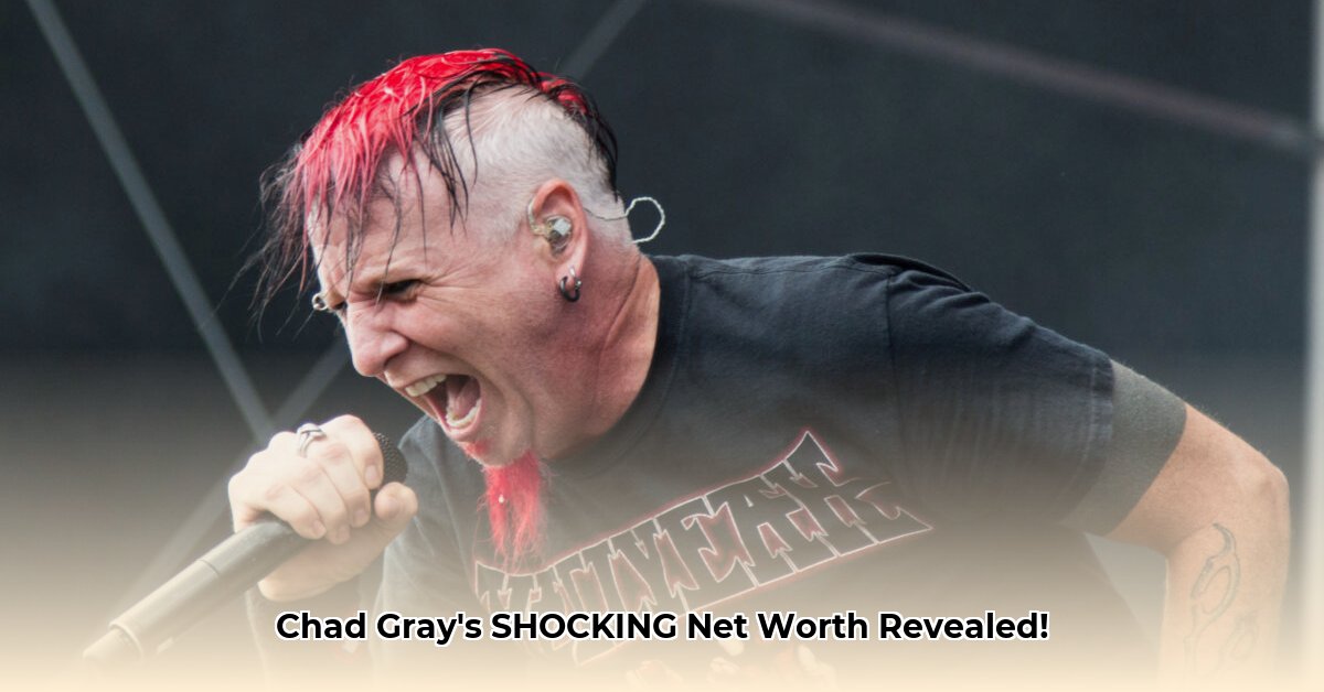 chad-gray-net-worth
